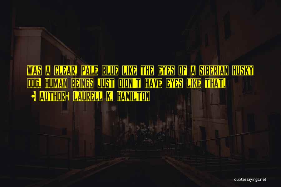 Laurell K. Hamilton Quotes: Was A Clear, Pale Blue Like The Eyes Of A Siberian Husky Dog. Human Beings Just Didn't Have Eyes Like