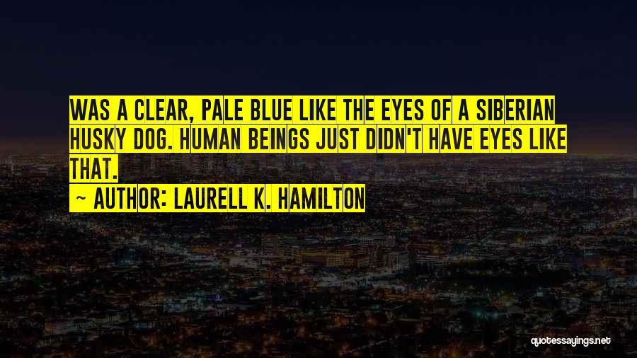 Laurell K. Hamilton Quotes: Was A Clear, Pale Blue Like The Eyes Of A Siberian Husky Dog. Human Beings Just Didn't Have Eyes Like