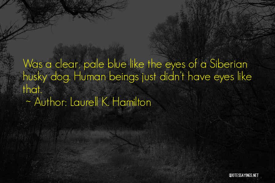Laurell K. Hamilton Quotes: Was A Clear, Pale Blue Like The Eyes Of A Siberian Husky Dog. Human Beings Just Didn't Have Eyes Like