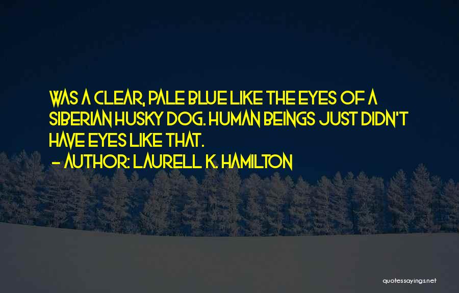 Laurell K. Hamilton Quotes: Was A Clear, Pale Blue Like The Eyes Of A Siberian Husky Dog. Human Beings Just Didn't Have Eyes Like