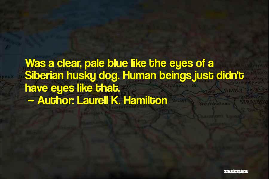 Laurell K. Hamilton Quotes: Was A Clear, Pale Blue Like The Eyes Of A Siberian Husky Dog. Human Beings Just Didn't Have Eyes Like