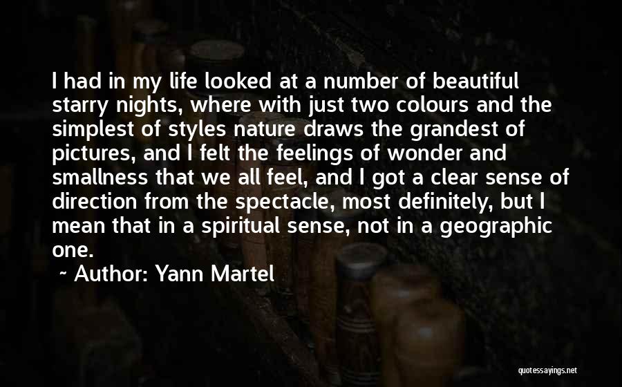 Yann Martel Quotes: I Had In My Life Looked At A Number Of Beautiful Starry Nights, Where With Just Two Colours And The