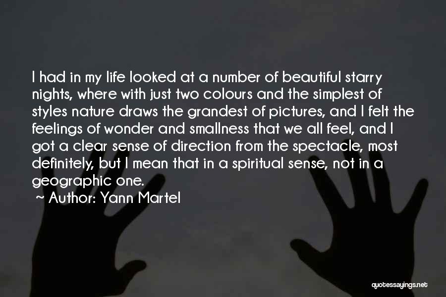 Yann Martel Quotes: I Had In My Life Looked At A Number Of Beautiful Starry Nights, Where With Just Two Colours And The