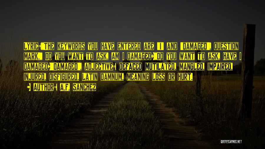 A.F. Sanchez Quotes: Lyric:the Keywords You Have Entered Are 'i' And 'damaged', Question Mark. Do You Want To Ask, Am I Damaged?do You