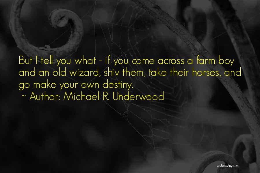 Michael R. Underwood Quotes: But I Tell You What - If You Come Across A Farm Boy And An Old Wizard, Shiv Them, Take