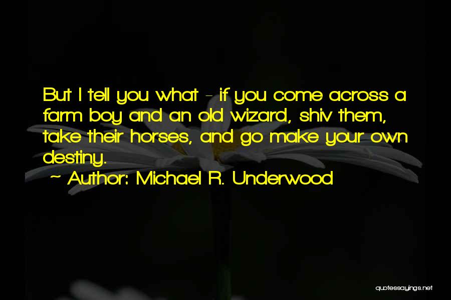 Michael R. Underwood Quotes: But I Tell You What - If You Come Across A Farm Boy And An Old Wizard, Shiv Them, Take