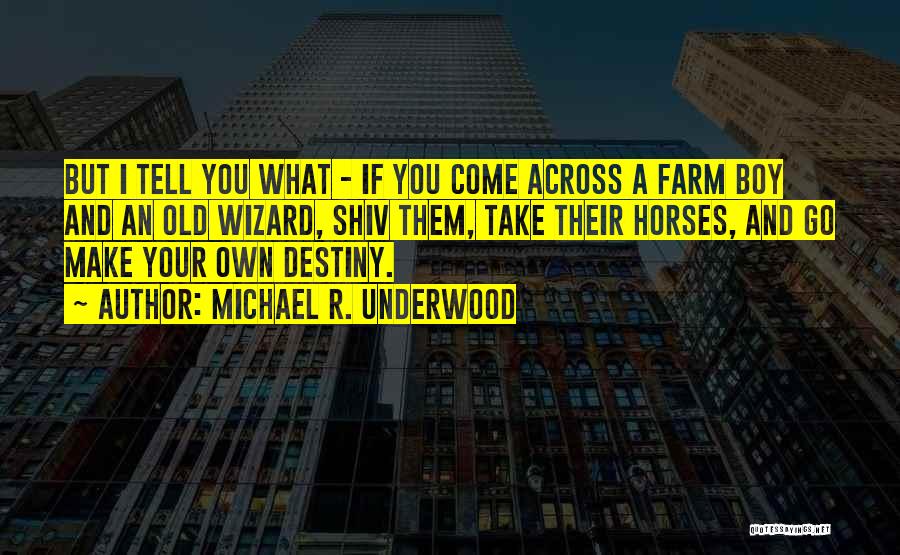 Michael R. Underwood Quotes: But I Tell You What - If You Come Across A Farm Boy And An Old Wizard, Shiv Them, Take