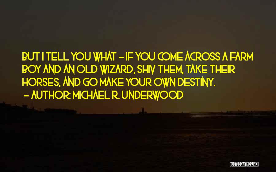 Michael R. Underwood Quotes: But I Tell You What - If You Come Across A Farm Boy And An Old Wizard, Shiv Them, Take