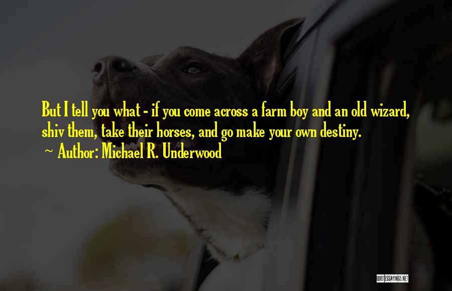Michael R. Underwood Quotes: But I Tell You What - If You Come Across A Farm Boy And An Old Wizard, Shiv Them, Take