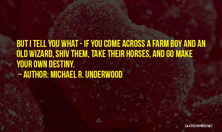 Michael R. Underwood Quotes: But I Tell You What - If You Come Across A Farm Boy And An Old Wizard, Shiv Them, Take