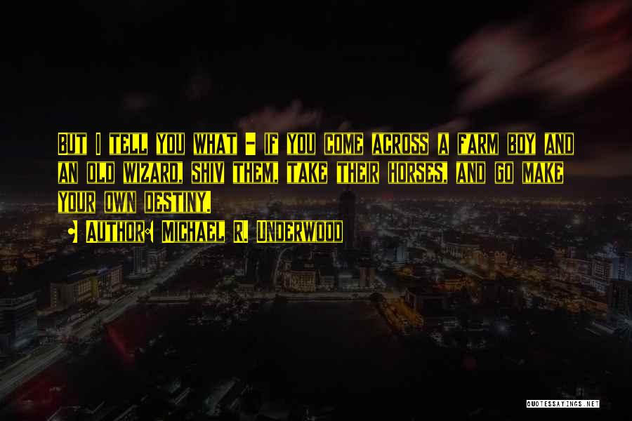 Michael R. Underwood Quotes: But I Tell You What - If You Come Across A Farm Boy And An Old Wizard, Shiv Them, Take