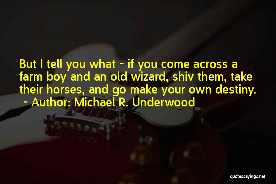 Michael R. Underwood Quotes: But I Tell You What - If You Come Across A Farm Boy And An Old Wizard, Shiv Them, Take