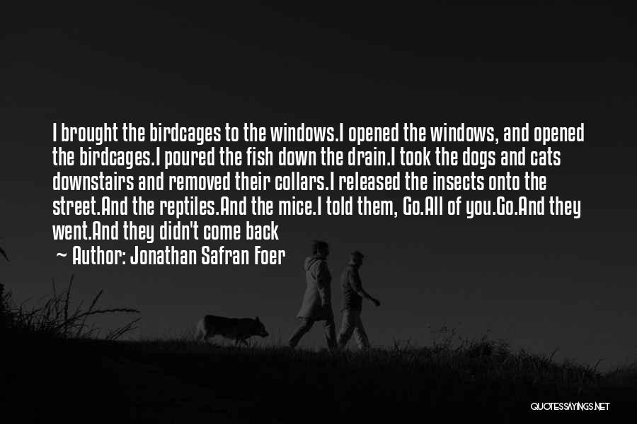 Jonathan Safran Foer Quotes: I Brought The Birdcages To The Windows.i Opened The Windows, And Opened The Birdcages.i Poured The Fish Down The Drain.i