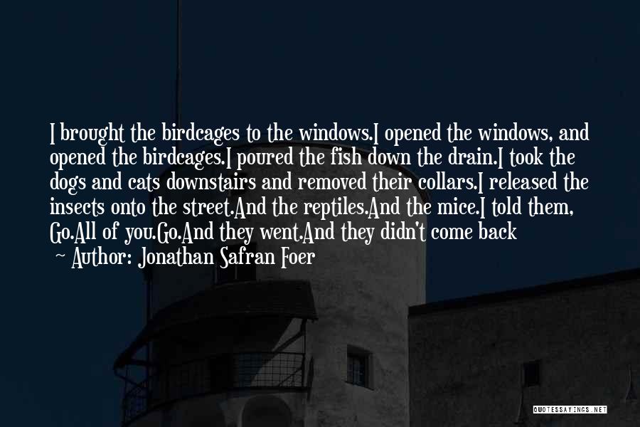 Jonathan Safran Foer Quotes: I Brought The Birdcages To The Windows.i Opened The Windows, And Opened The Birdcages.i Poured The Fish Down The Drain.i