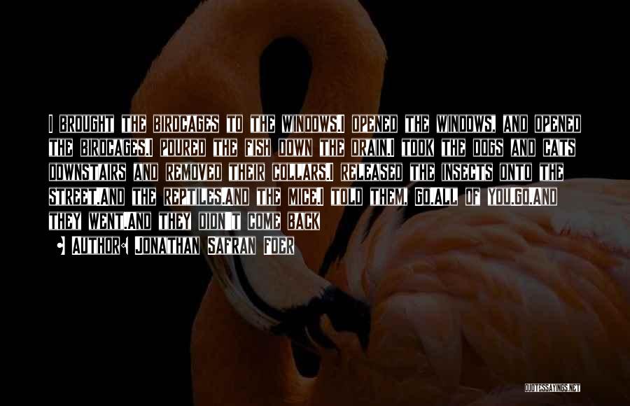 Jonathan Safran Foer Quotes: I Brought The Birdcages To The Windows.i Opened The Windows, And Opened The Birdcages.i Poured The Fish Down The Drain.i