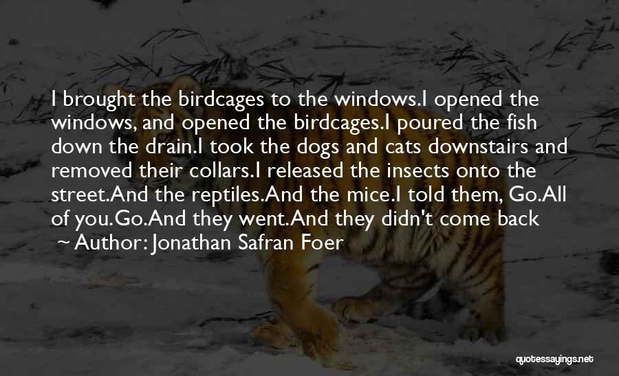 Jonathan Safran Foer Quotes: I Brought The Birdcages To The Windows.i Opened The Windows, And Opened The Birdcages.i Poured The Fish Down The Drain.i