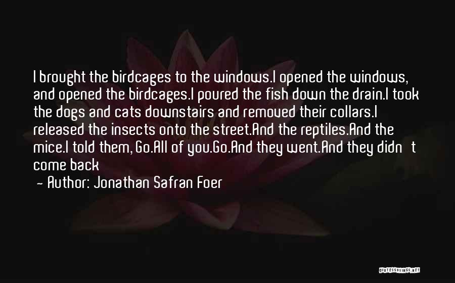 Jonathan Safran Foer Quotes: I Brought The Birdcages To The Windows.i Opened The Windows, And Opened The Birdcages.i Poured The Fish Down The Drain.i