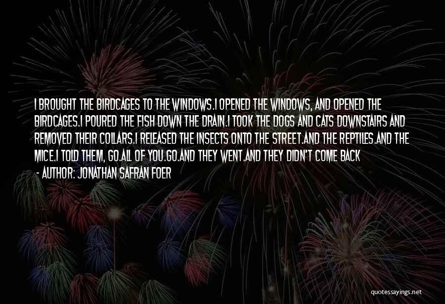 Jonathan Safran Foer Quotes: I Brought The Birdcages To The Windows.i Opened The Windows, And Opened The Birdcages.i Poured The Fish Down The Drain.i