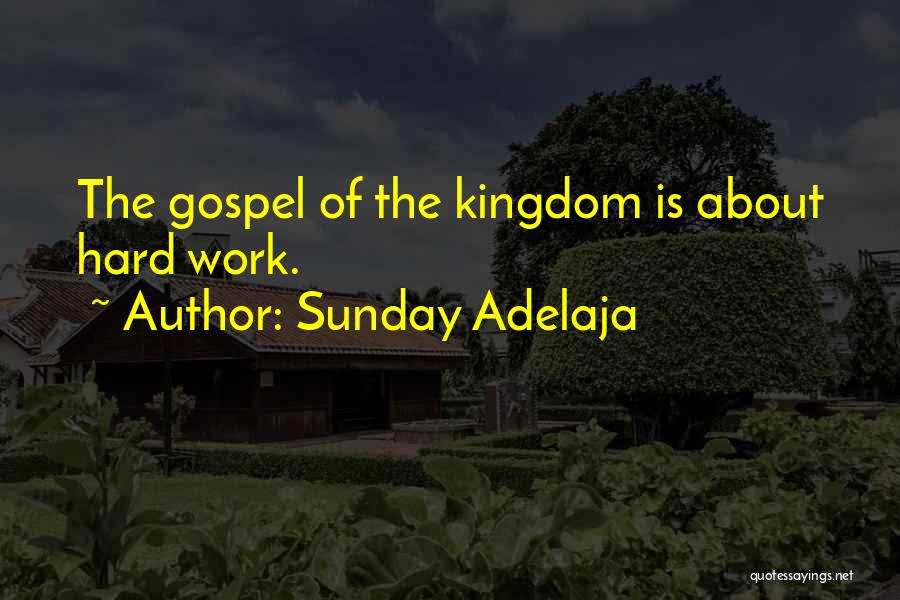 Sunday Adelaja Quotes: The Gospel Of The Kingdom Is About Hard Work.