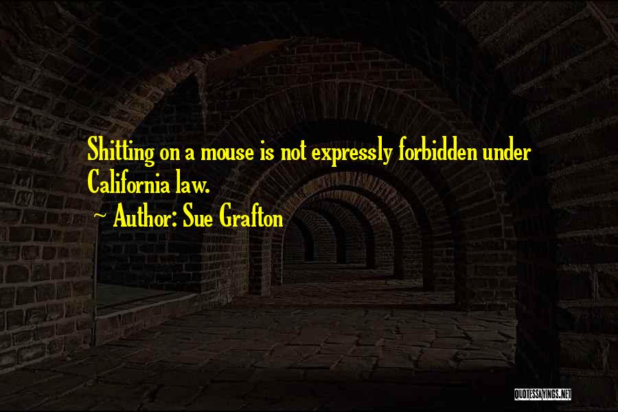 Sue Grafton Quotes: Shitting On A Mouse Is Not Expressly Forbidden Under California Law.