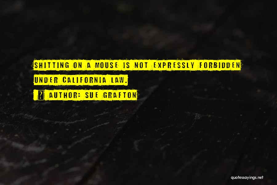 Sue Grafton Quotes: Shitting On A Mouse Is Not Expressly Forbidden Under California Law.