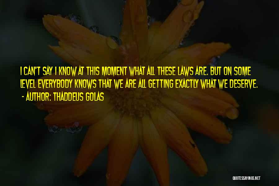 Thaddeus Golas Quotes: I Can't Say I Know At This Moment What All These Laws Are. But On Some Level Everybody Knows That