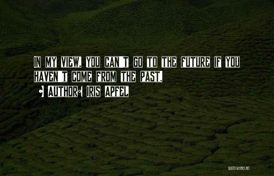 Iris Apfel Quotes: In My View, You Can't Go To The Future If You Haven't Come From The Past.