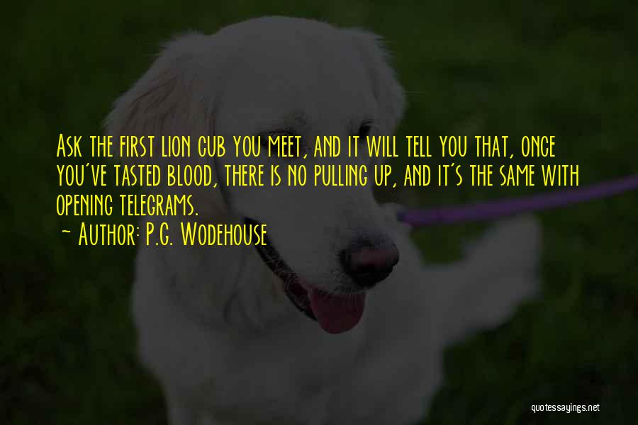 P.G. Wodehouse Quotes: Ask The First Lion Cub You Meet, And It Will Tell You That, Once You've Tasted Blood, There Is No