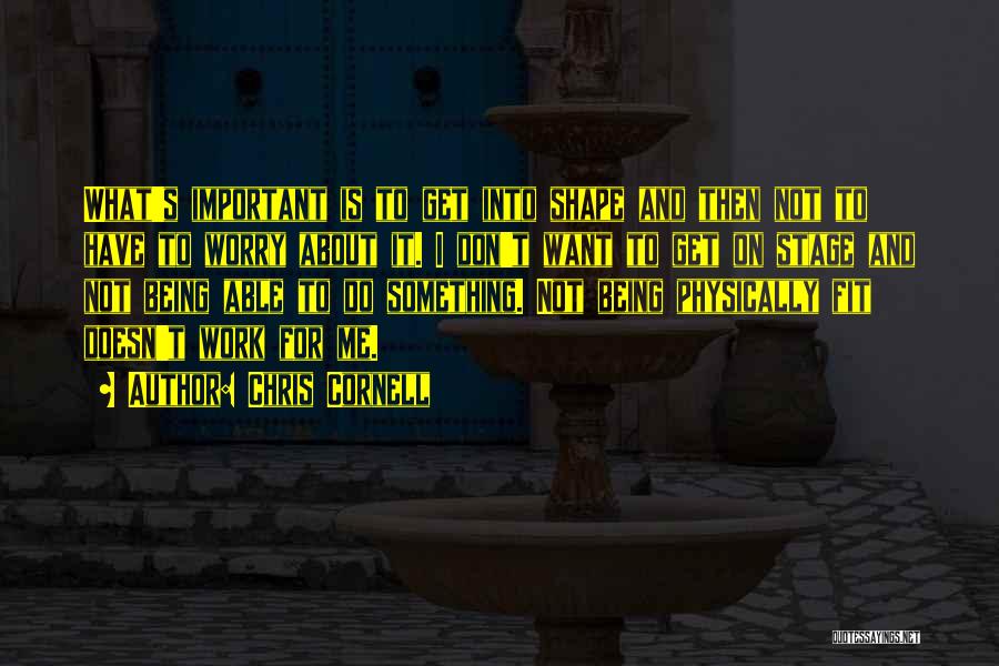 Chris Cornell Quotes: What's Important Is To Get Into Shape And Then Not To Have To Worry About It. I Don't Want To