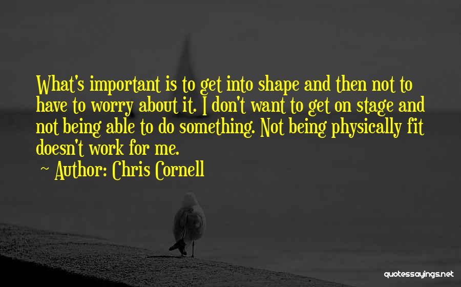 Chris Cornell Quotes: What's Important Is To Get Into Shape And Then Not To Have To Worry About It. I Don't Want To