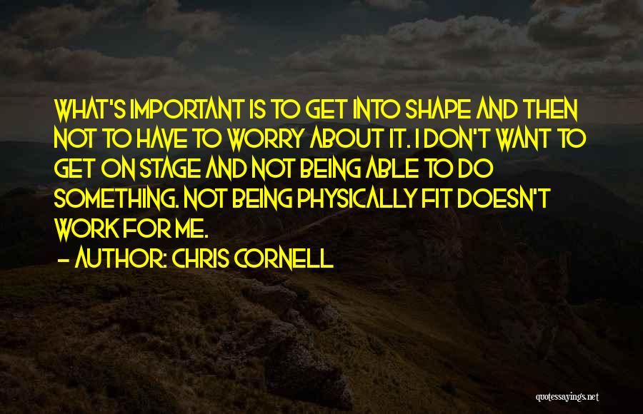 Chris Cornell Quotes: What's Important Is To Get Into Shape And Then Not To Have To Worry About It. I Don't Want To