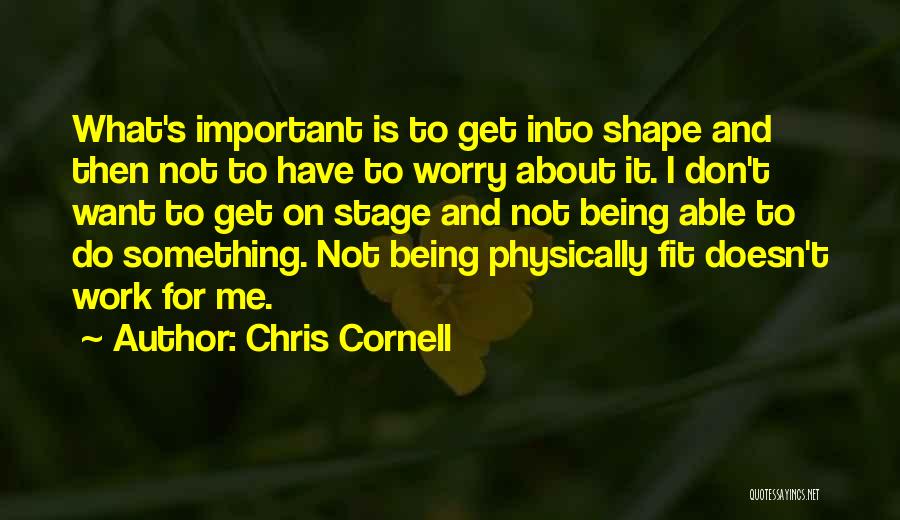 Chris Cornell Quotes: What's Important Is To Get Into Shape And Then Not To Have To Worry About It. I Don't Want To