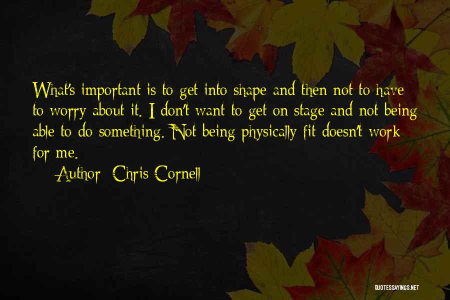 Chris Cornell Quotes: What's Important Is To Get Into Shape And Then Not To Have To Worry About It. I Don't Want To