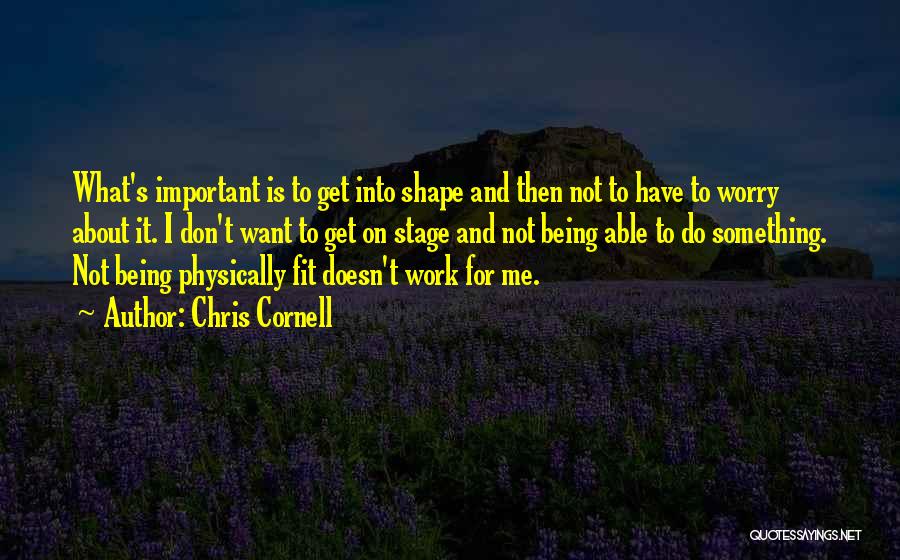 Chris Cornell Quotes: What's Important Is To Get Into Shape And Then Not To Have To Worry About It. I Don't Want To