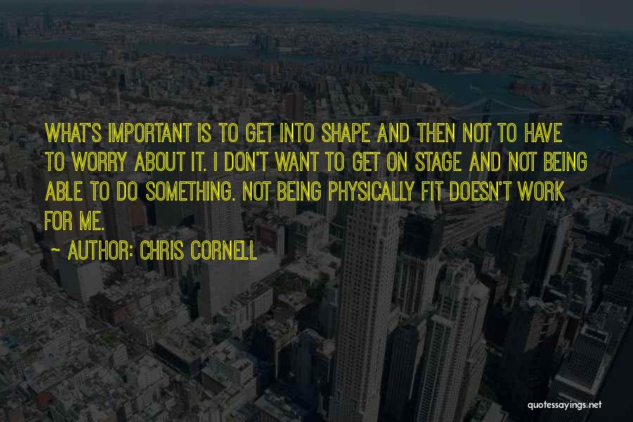 Chris Cornell Quotes: What's Important Is To Get Into Shape And Then Not To Have To Worry About It. I Don't Want To