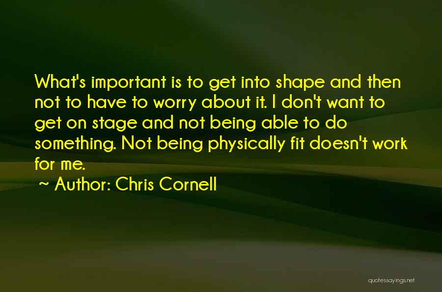 Chris Cornell Quotes: What's Important Is To Get Into Shape And Then Not To Have To Worry About It. I Don't Want To