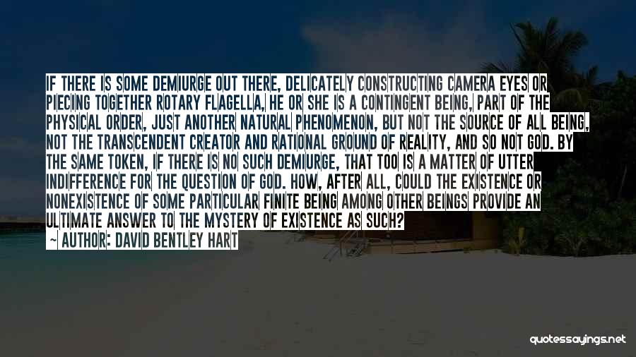 David Bentley Hart Quotes: If There Is Some Demiurge Out There, Delicately Constructing Camera Eyes Or Piecing Together Rotary Flagella, He Or She Is