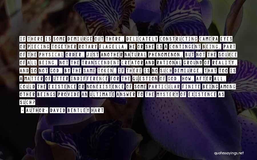 David Bentley Hart Quotes: If There Is Some Demiurge Out There, Delicately Constructing Camera Eyes Or Piecing Together Rotary Flagella, He Or She Is