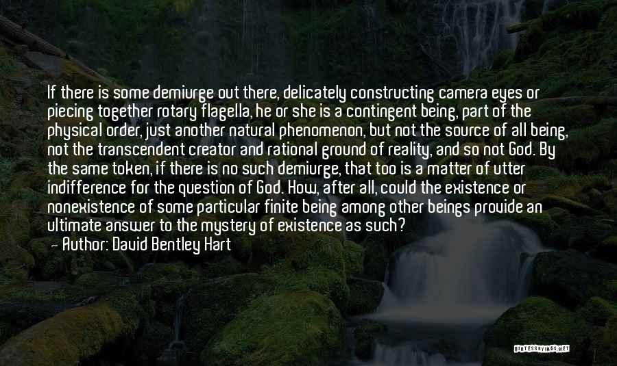 David Bentley Hart Quotes: If There Is Some Demiurge Out There, Delicately Constructing Camera Eyes Or Piecing Together Rotary Flagella, He Or She Is