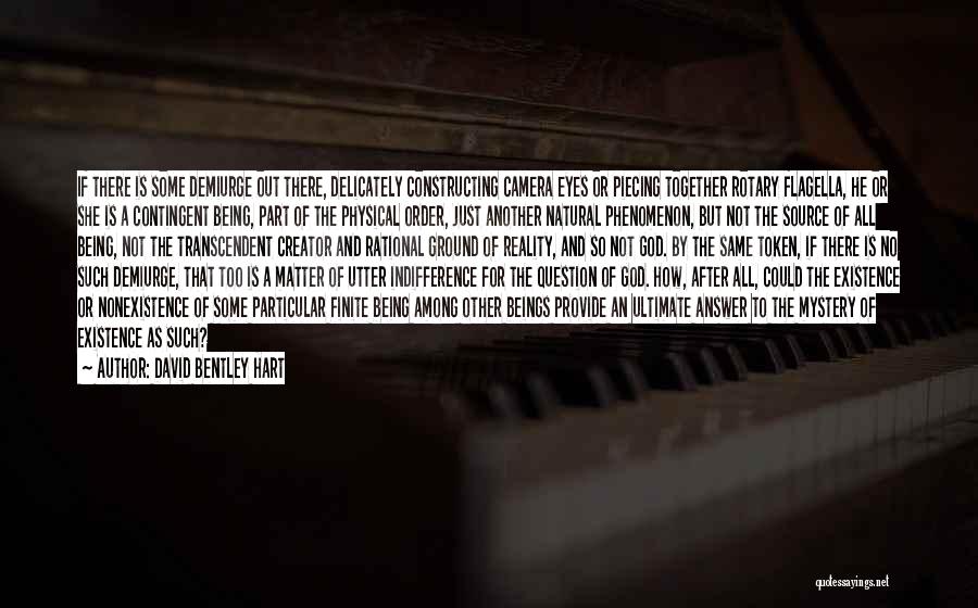 David Bentley Hart Quotes: If There Is Some Demiurge Out There, Delicately Constructing Camera Eyes Or Piecing Together Rotary Flagella, He Or She Is