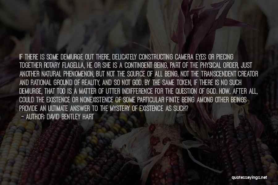 David Bentley Hart Quotes: If There Is Some Demiurge Out There, Delicately Constructing Camera Eyes Or Piecing Together Rotary Flagella, He Or She Is