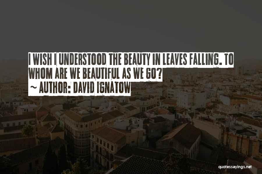 David Ignatow Quotes: I Wish I Understood The Beauty In Leaves Falling. To Whom Are We Beautiful As We Go?