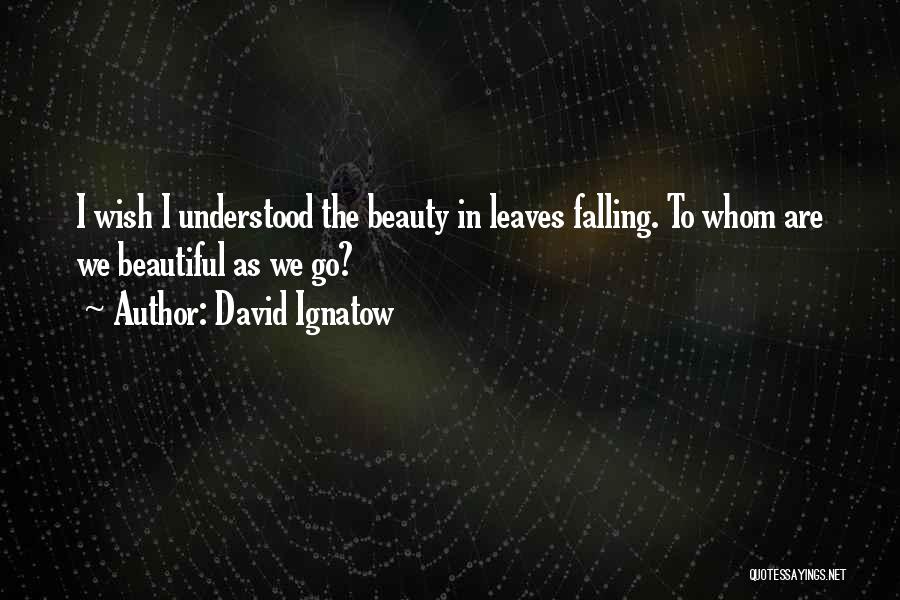 David Ignatow Quotes: I Wish I Understood The Beauty In Leaves Falling. To Whom Are We Beautiful As We Go?