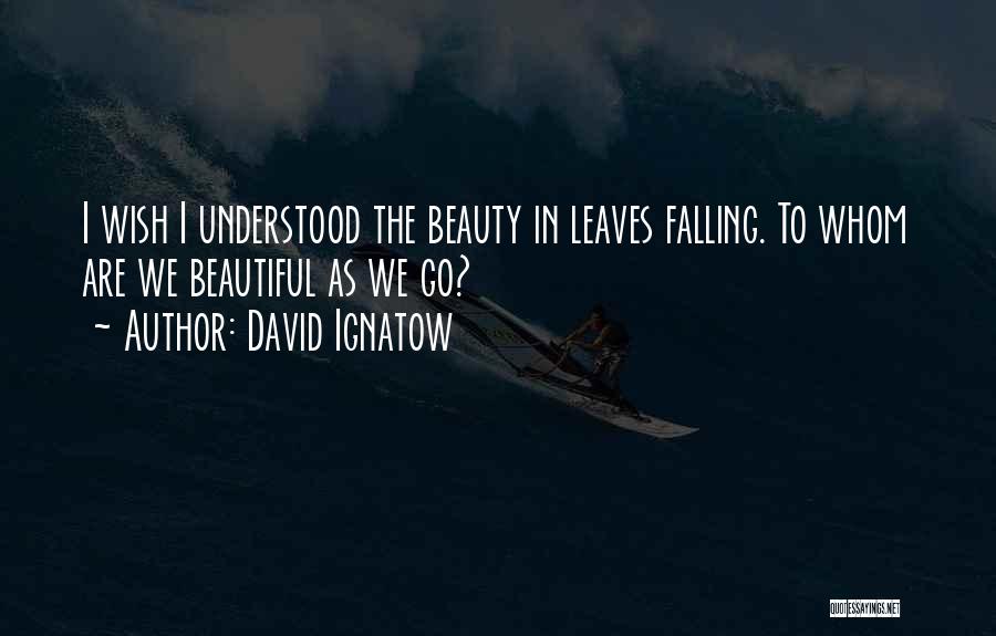 David Ignatow Quotes: I Wish I Understood The Beauty In Leaves Falling. To Whom Are We Beautiful As We Go?