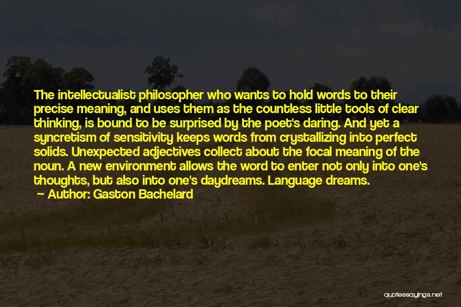 Gaston Bachelard Quotes: The Intellectualist Philosopher Who Wants To Hold Words To Their Precise Meaning, And Uses Them As The Countless Little Tools