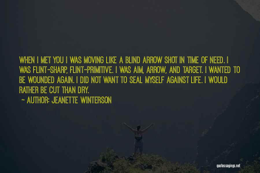 Jeanette Winterson Quotes: When I Met You I Was Moving Like A Blind Arrow Shot In Time Of Need. I Was Flint-sharp, Flint-primitive.