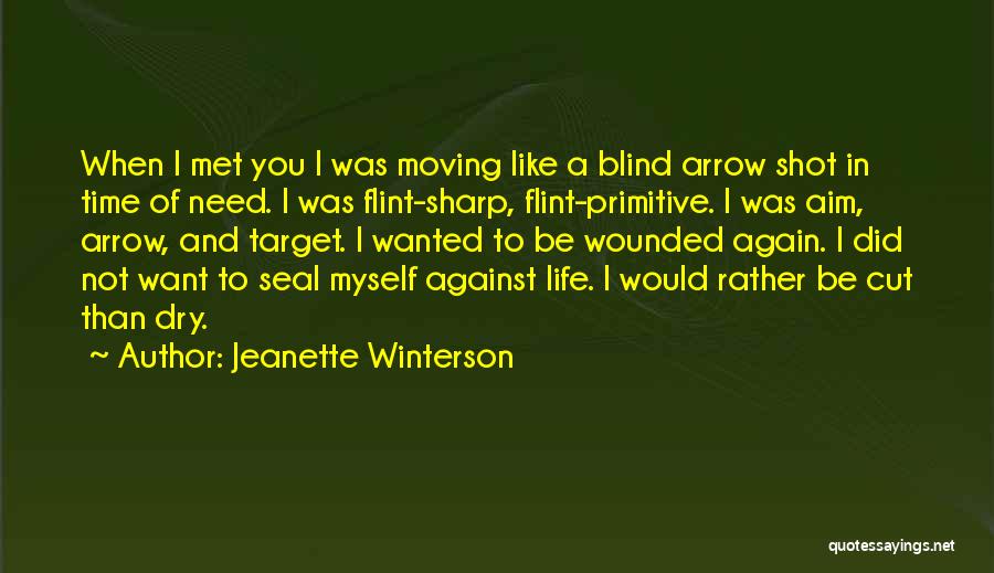 Jeanette Winterson Quotes: When I Met You I Was Moving Like A Blind Arrow Shot In Time Of Need. I Was Flint-sharp, Flint-primitive.