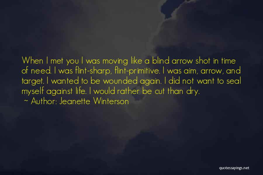 Jeanette Winterson Quotes: When I Met You I Was Moving Like A Blind Arrow Shot In Time Of Need. I Was Flint-sharp, Flint-primitive.