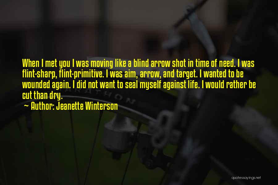 Jeanette Winterson Quotes: When I Met You I Was Moving Like A Blind Arrow Shot In Time Of Need. I Was Flint-sharp, Flint-primitive.