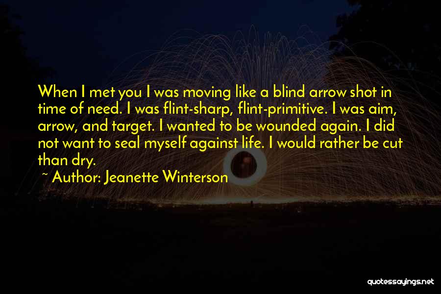 Jeanette Winterson Quotes: When I Met You I Was Moving Like A Blind Arrow Shot In Time Of Need. I Was Flint-sharp, Flint-primitive.